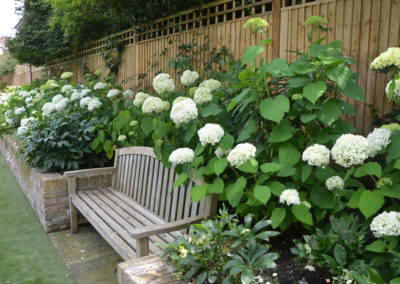 Bench and flowers