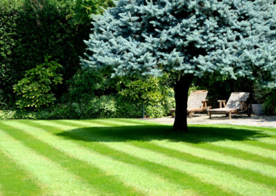 Lawn